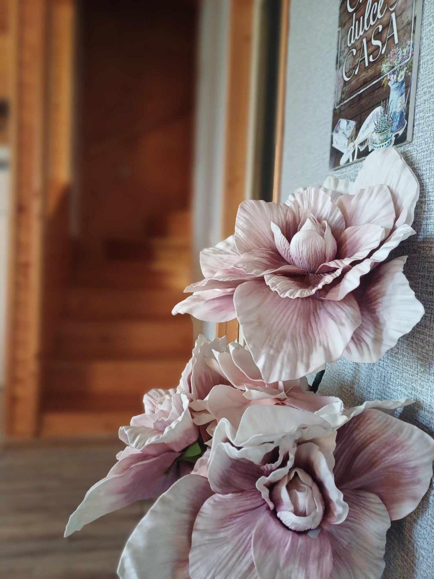 Cabana Baile Figa Beclean  Zewnętrze zdjęcie